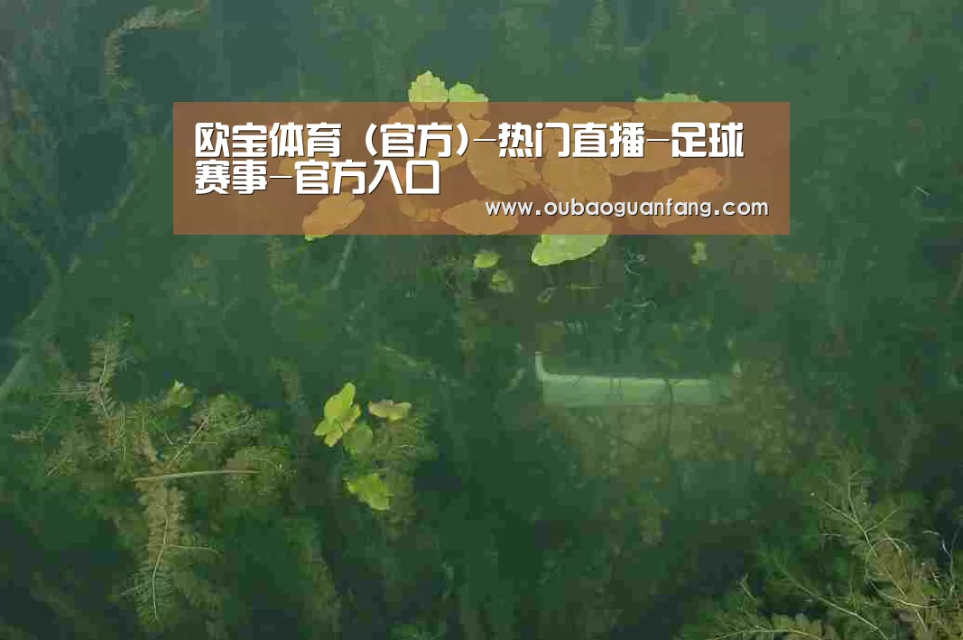 案例展示三(图1)