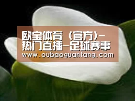 产品名称七