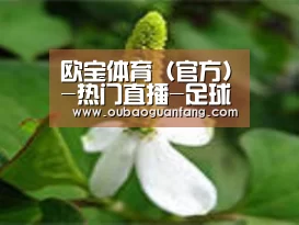 产品名称三
