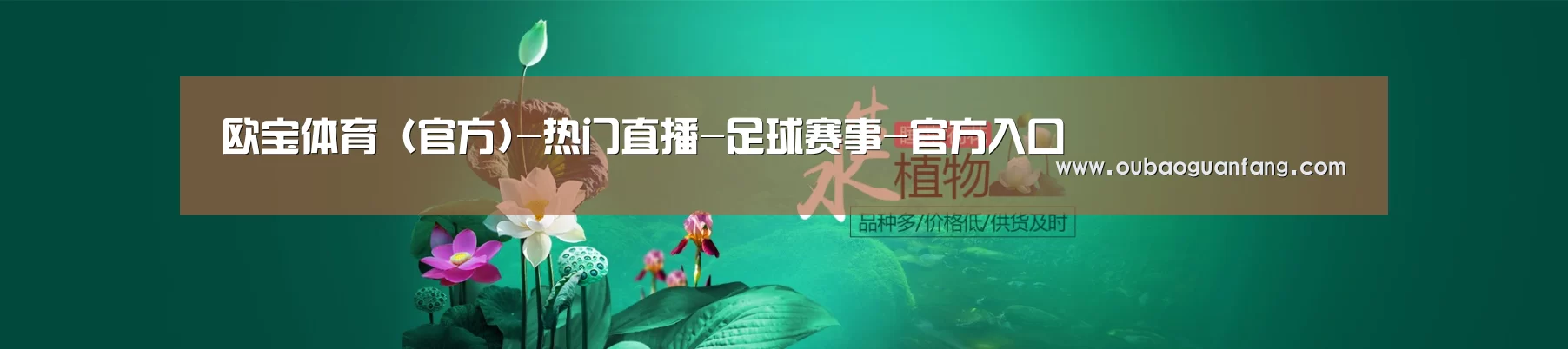 鲜花水草花卉网站模板