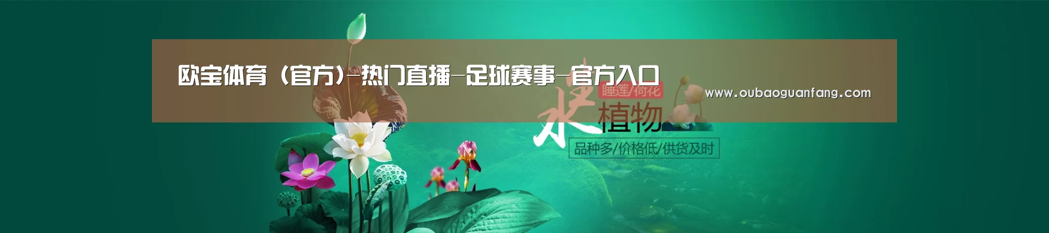 鲜花水草花卉网站模板