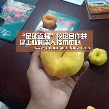 足球直播