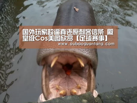 欧宝体育（官方)-热门直播-足球赛事-官方入口官网