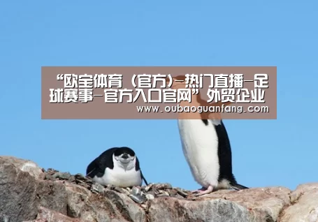 欧宝体育（官方)-热门直播-足球赛事-官方入口官网