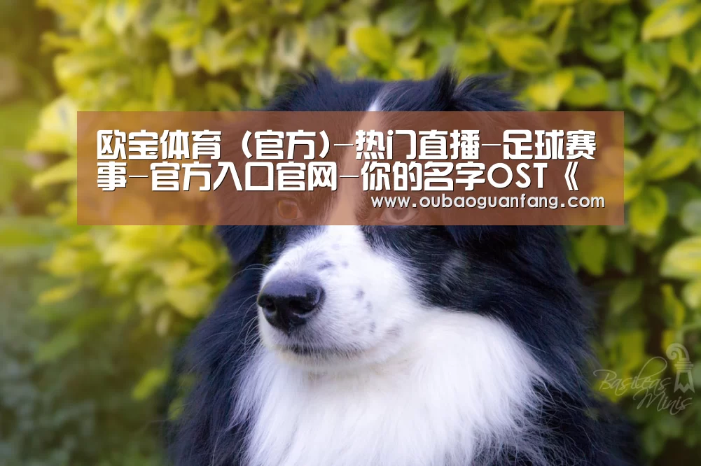 足球赛事