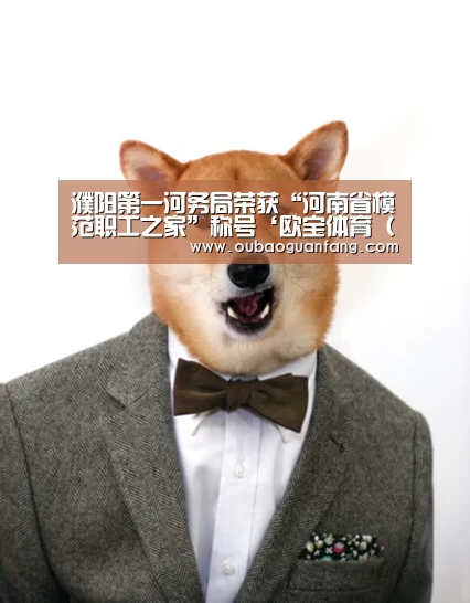 足球直播