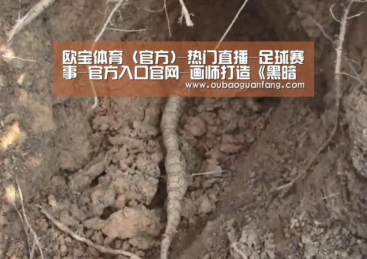 足球赛事