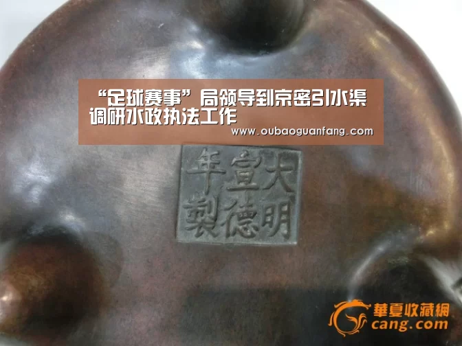足球直播