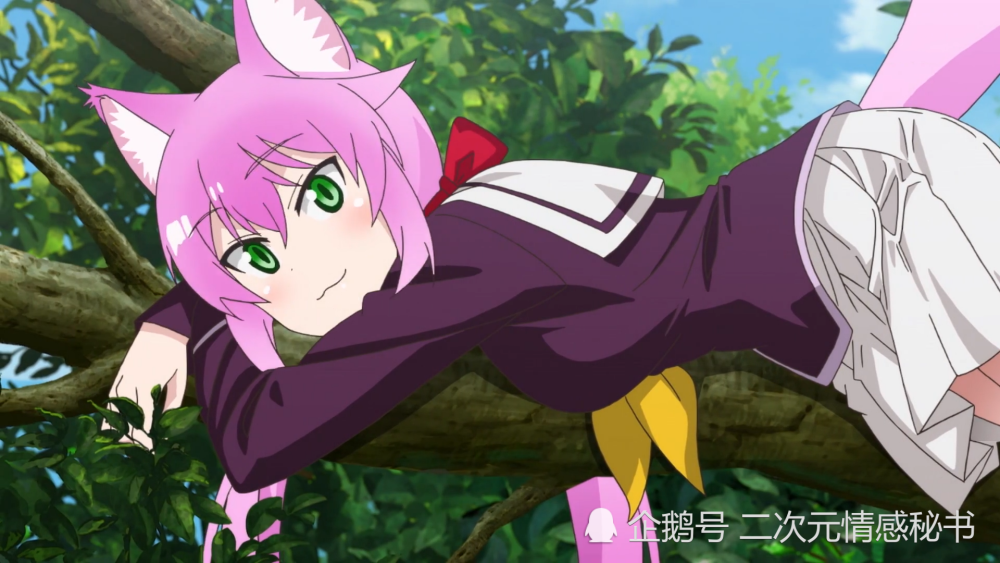 足球赛事