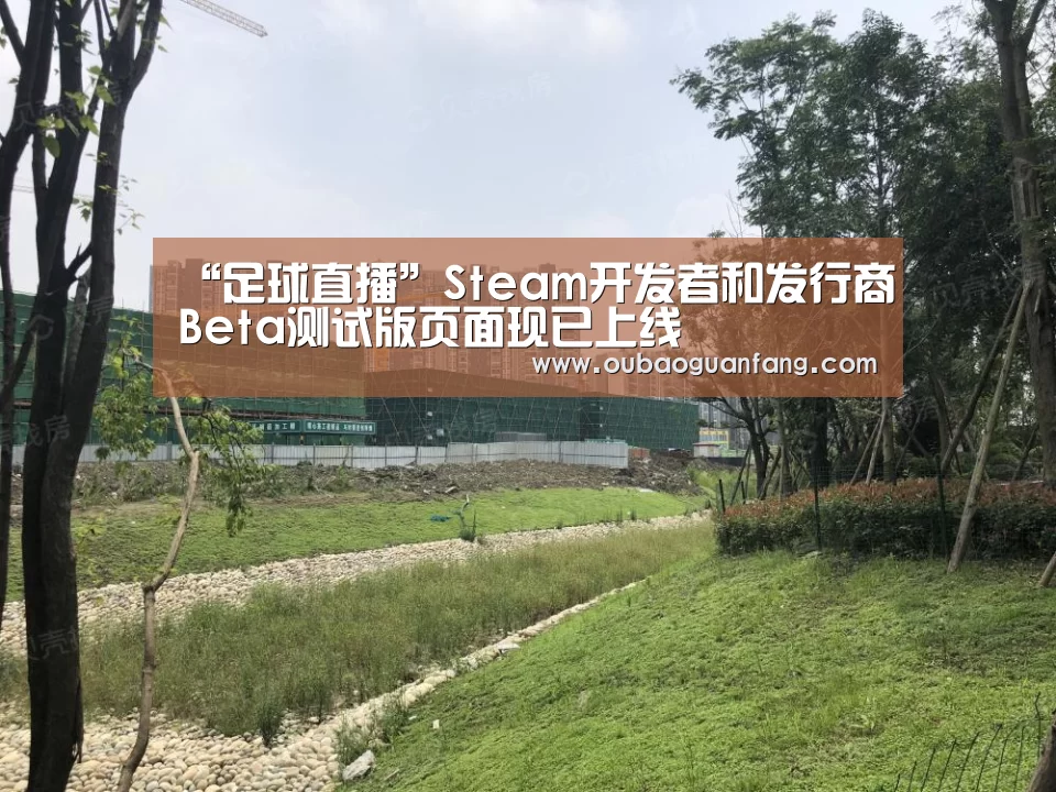 足球直播